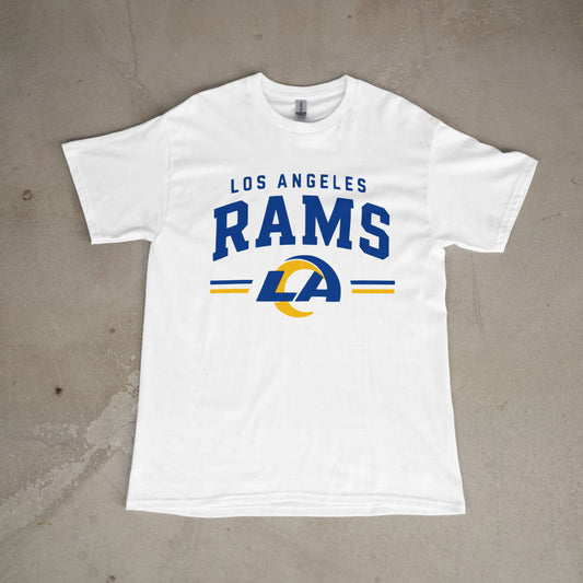 Pro Football Team Shirts